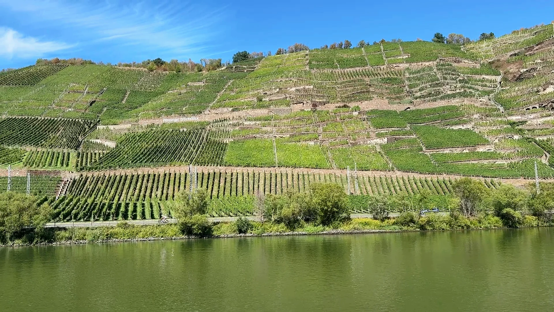 Weinberge an der Mosel