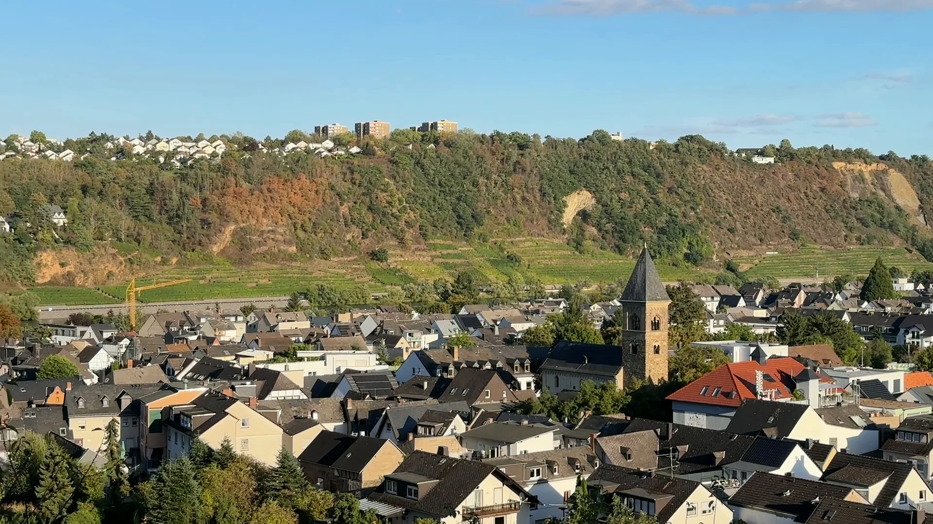 Dächer von Güls vor den Weinbergen